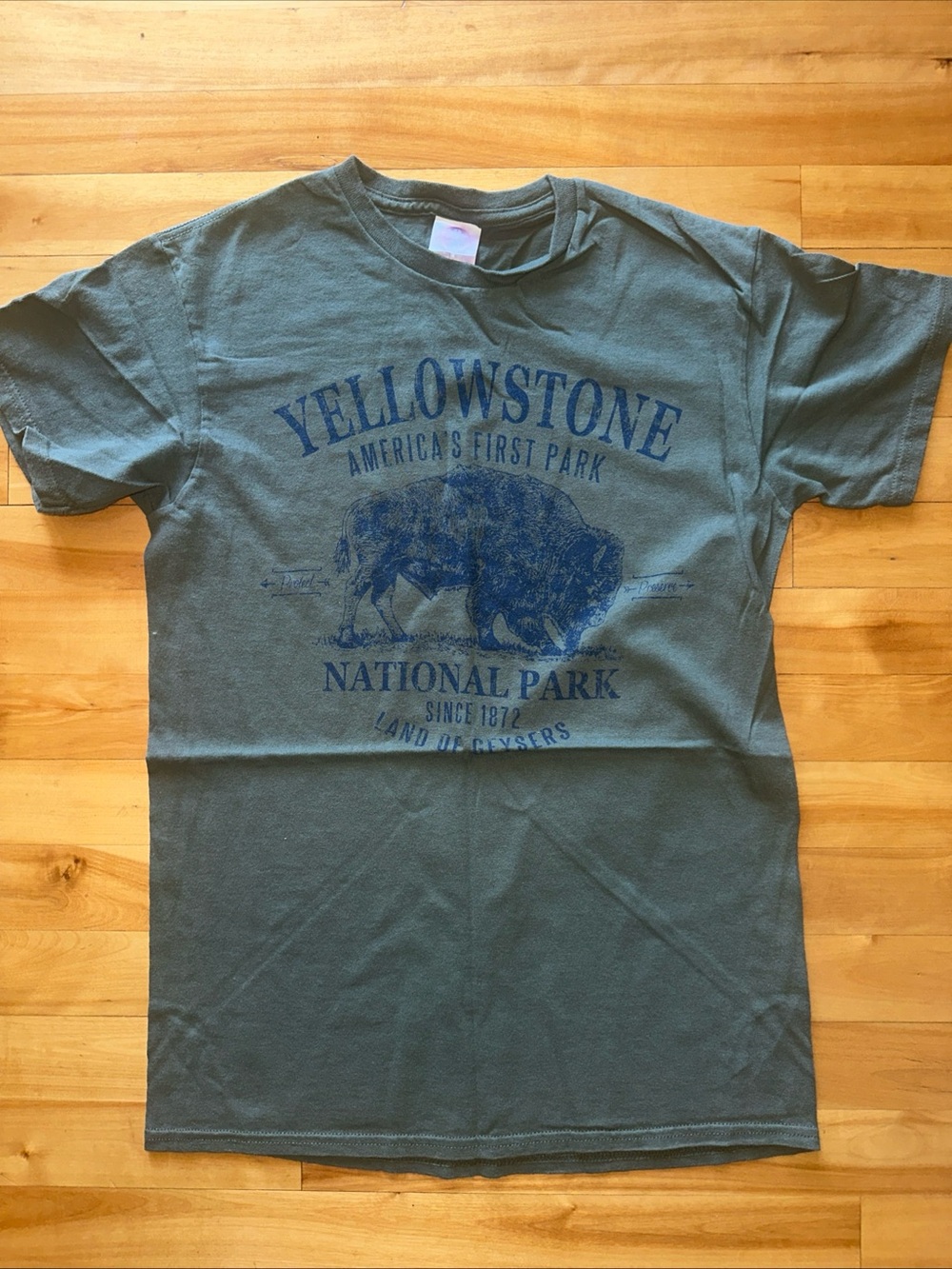 Yellowstone National Park Bison Graphic T Shirt Small Green 100% Cotton USA Tee